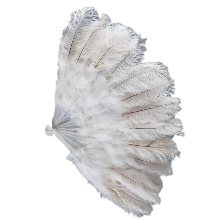 Ventaglio di piume bianco per burlesque